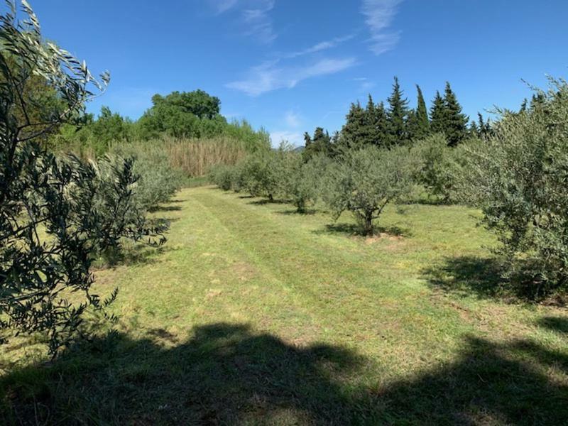 Le Mazet Des Joncs En Provence Vila Saint-Pierre-de-Vassols Exterior foto